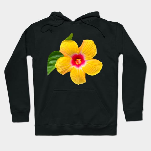 Yellow hibiscus Hoodie by Meo Design